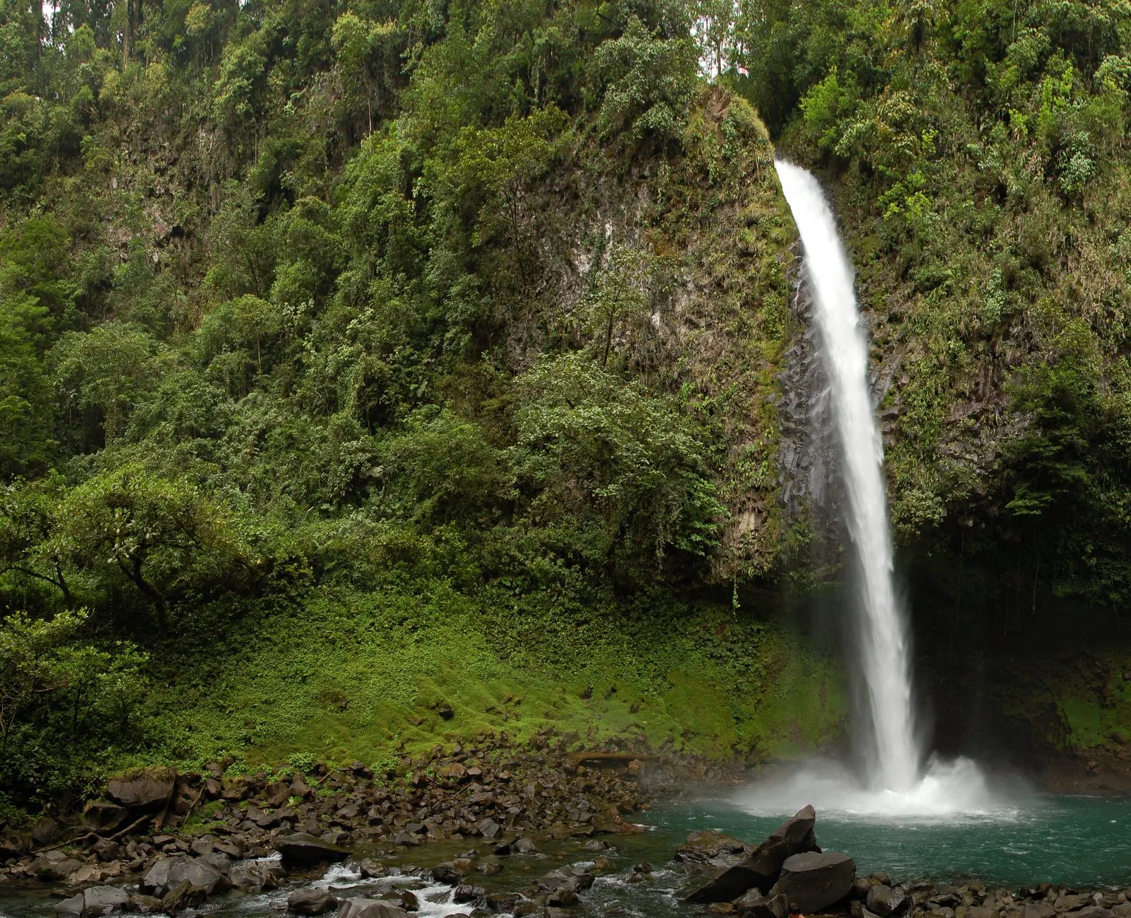 La Fortuna Waterfall (Catarata Rio Fortuna) plunging into its jungle pool.