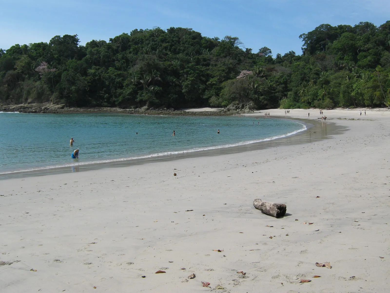 Playa Manuel Antonio, the crescent beach inside Manuel Antonio National Park