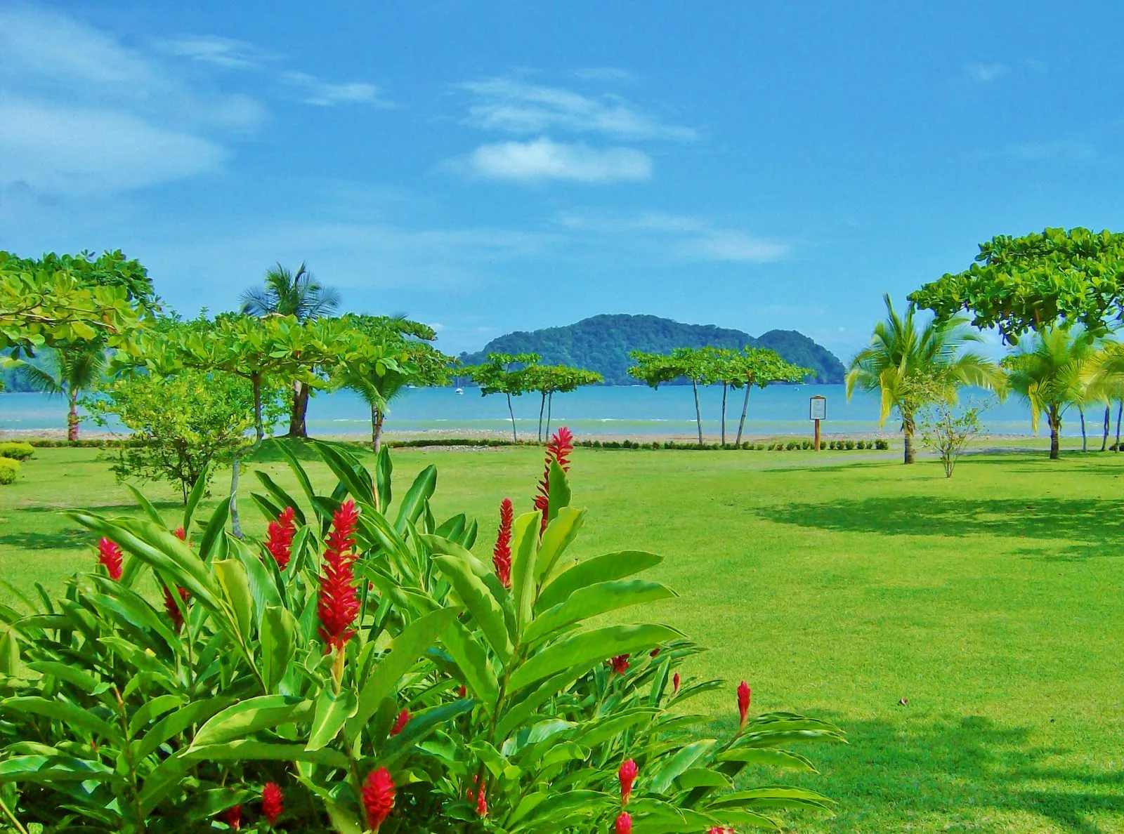 Herradura Bay seen from the gardens at Los Sueños, with the forested headland beyond.
