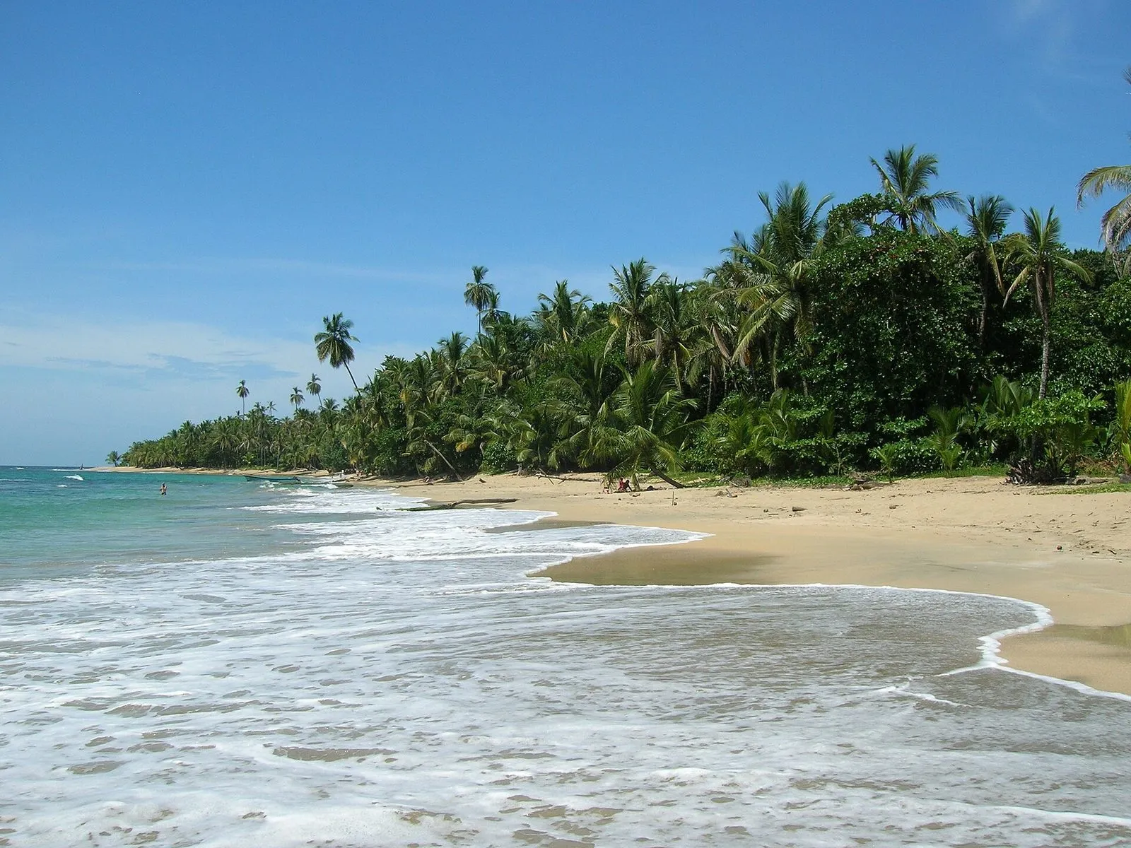 Turquoise water and coconut palms at Playa Punta Uva near Puerto Viejo