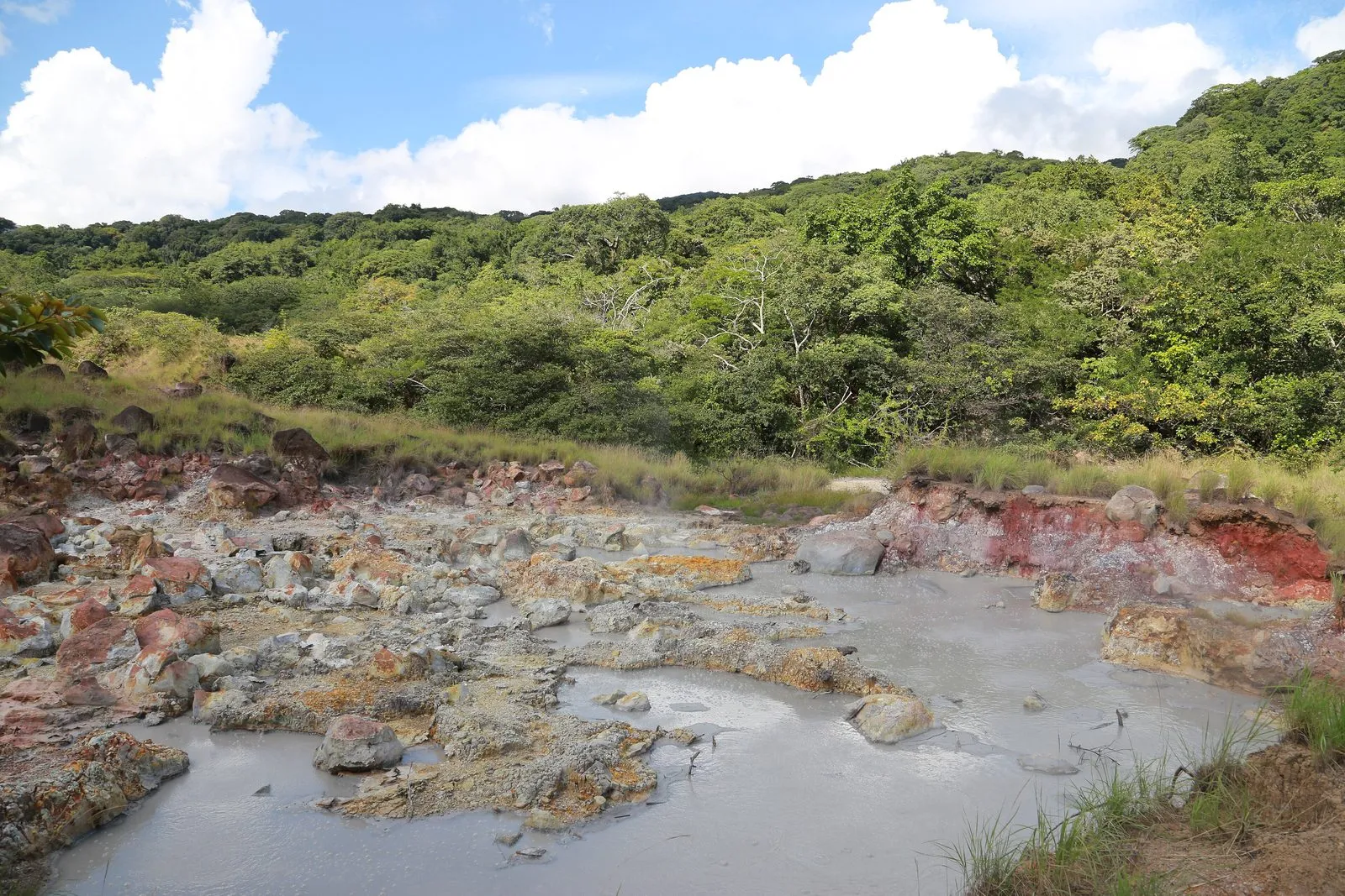 Bubbling mud pots and mineral-stained rocks amid forest in Rincón de la Vieja National Park