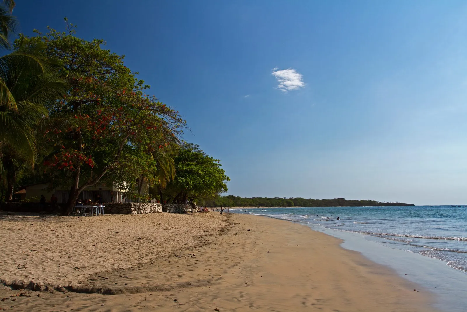 Golden sand, shade trees and gentle surf along Playa Tamarindo
